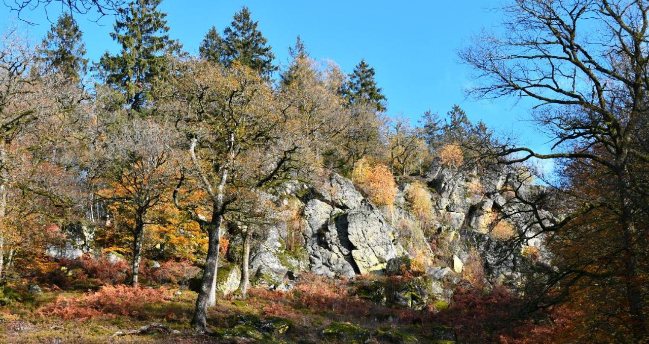 Sweet Home En Gaume Chiny Bagian luar foto